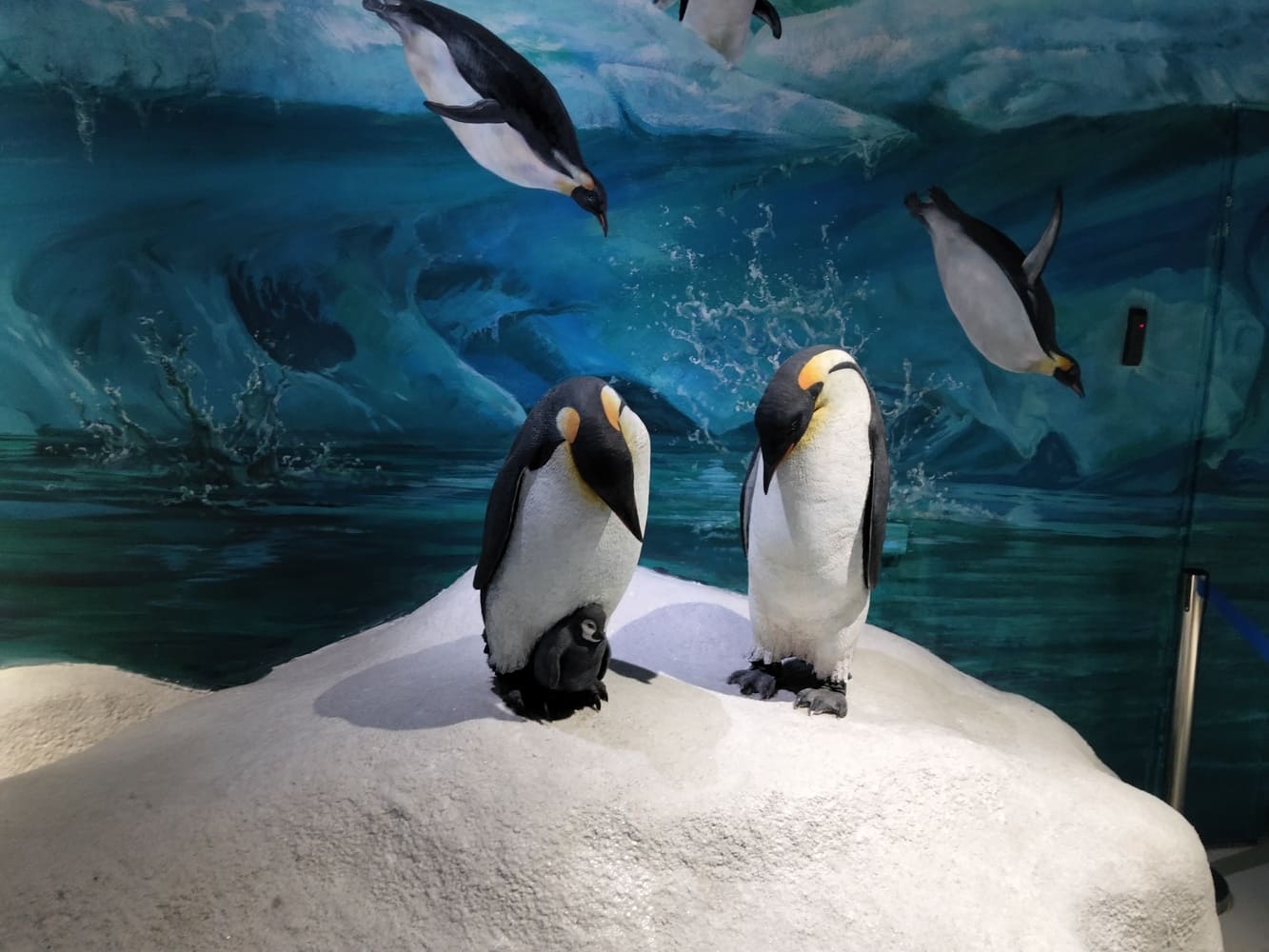 Дальневосточный океанариум