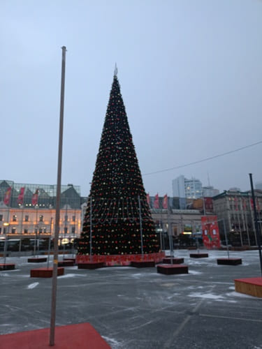 Владивосток перед Новым годом