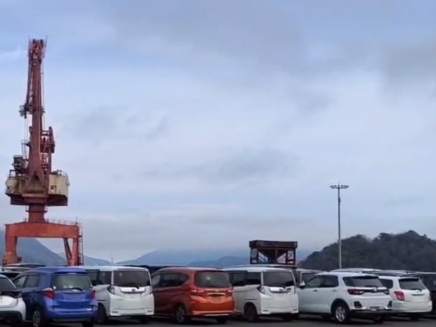 СВХ и хранение в порту: сколько стоит и как не переплатить за простой автомобиля на таможне