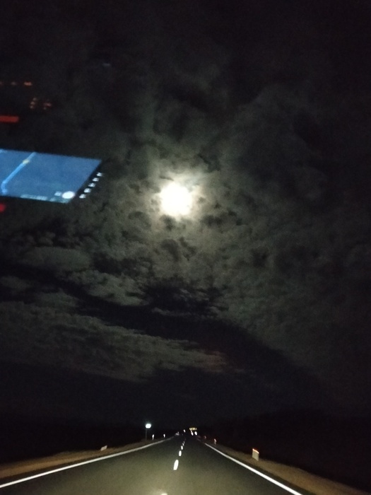 Ночные поездки при перегоне: когда можно, а когда лучше не рисковать? Оценка рисков: усталость, животные на дороге, скрытые ямы